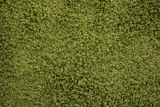 zelený koberec
